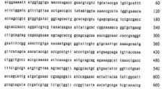 Figure 105138385-A0305-02-0052-58