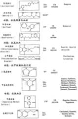 Figure A20068004619500681