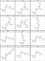 Figure BDA0000106649180000291