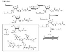 Figure 2023500681000114