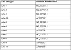 Figure imgf000084_0001