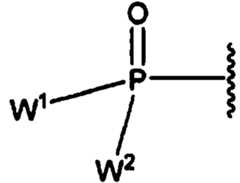 Figure imgf000036_0003