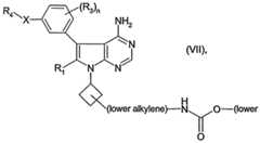 Figure imgf000022_0002
