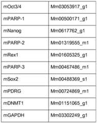 Figure imgf000059_0001