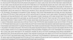 Figure PCTCN2022073808-appb-000110