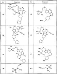 Figure BPA00001446920500961