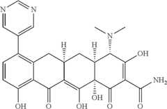 Figure US08088820-20120103-C00806
