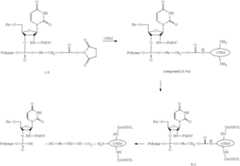 Figure US11786599-20231017-C00229