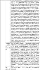 Figure BDA0004033970230006541