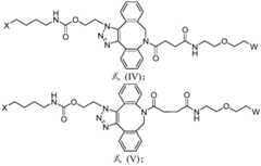 Figure BDA0003590456550001403