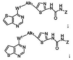 Figure 112007011503269-PCT00294