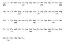 Figure 108117578-A0305-02-0236-110