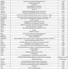 Figure imgf000097_0001