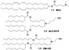 Figure imgf000003_0001