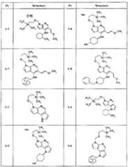 Figure BPA00001446920500911