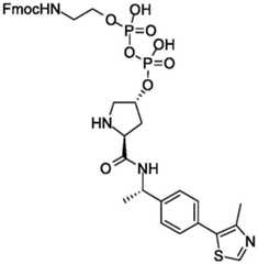 Figure BDA0004113777320001412