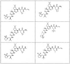 Figure imgf000255_0001