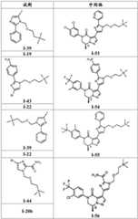 Figure BDA0001311904430000451