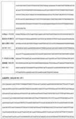 Figure 108128641-A0202-12-0257-913