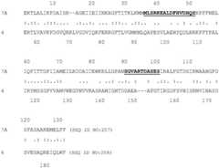 Figure BDA0004097668430000661