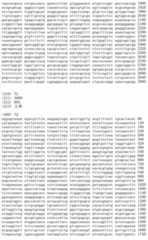 Figure IDA00002091897100841