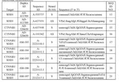 Figure imgf000295_0002