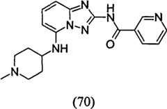 Figure GPA00001035513100941