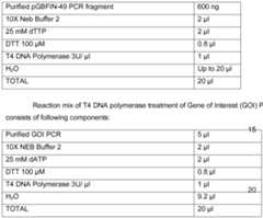 Figure imgf000063_0001