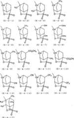 Figure G2008101733470D00101