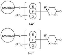 Figure imgf000069_0003