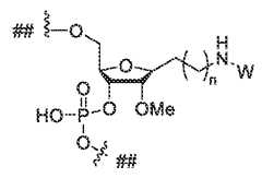 Figure imgf000048_0001