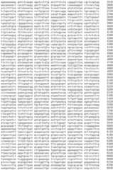 Figure IDA0002536600790000201