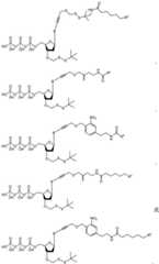 Figure BDA0003670511740003301