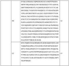 Figure imgf000117_0001