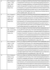 Figure imgf000340_0001