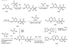 Figure imgf000105_0001