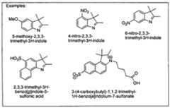 Figure imgf000030_0002