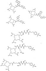 Figure imgf000101_0001