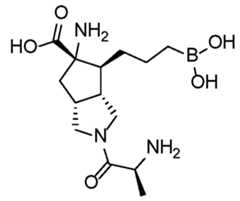 Figure imgf000134_0002