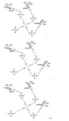 Figure imgf000009_0001