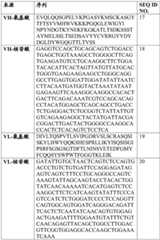 Figure BDA0004014042770000091