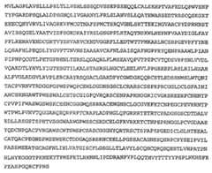 Figure 112013088873035-pat00095