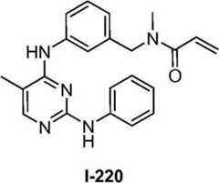 Figure BDA00001832816703023