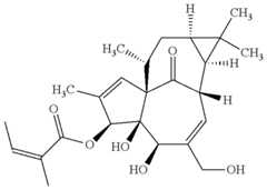 Figure US10722484-20200728-C00058