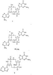 Figure 0007317014000123