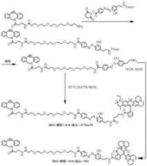 Figure BDA0003670511740004641