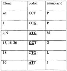 Figure imgf000057_0002