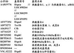 Figure BDA0000057170160002012