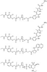 Figure BDA0002537542900001171