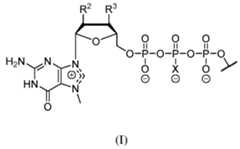 Figure imgf000206_0001